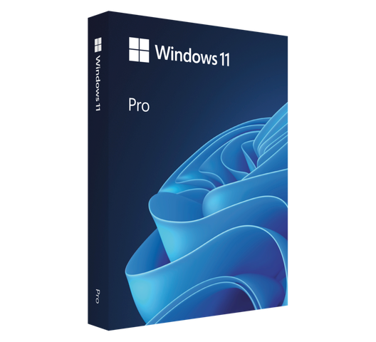 Windows 10 and 11 pro 64 bits