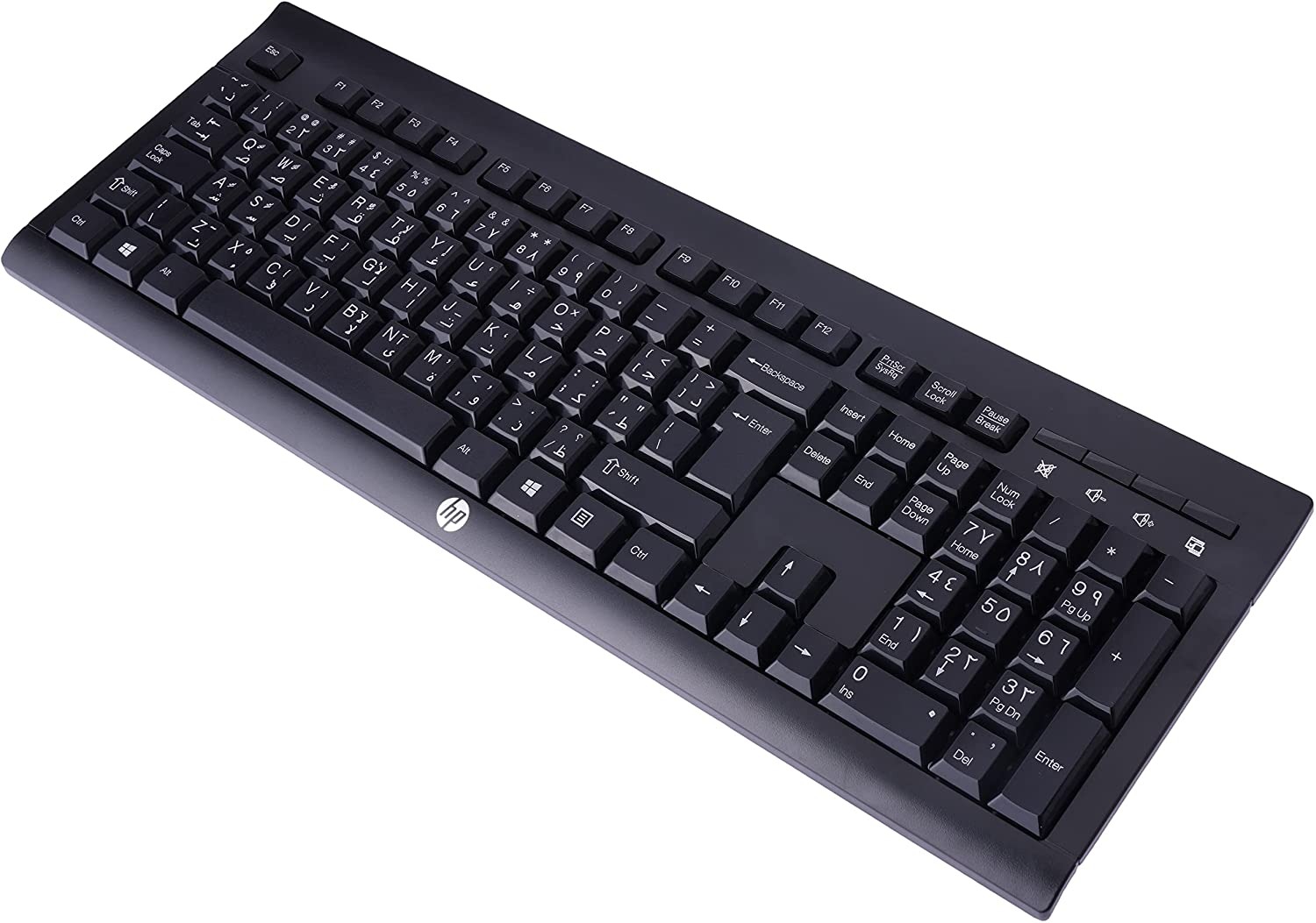 HP Wireless Keyboard K2500 (English & Arabic) Black - E5E78AA