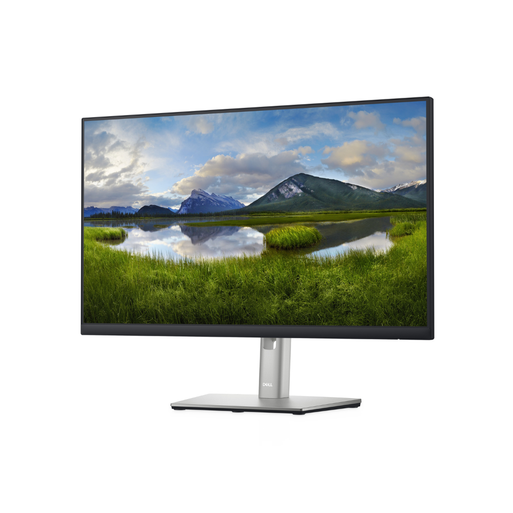 Dell P2422H 23.8" FHD Monitor, Height, Pivot (rotation), Swivel, Tilt - P2422H