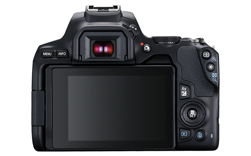 Canon EOS 250D DSLR Camera with 18-55mm f/4-5.6 IS STM Lens